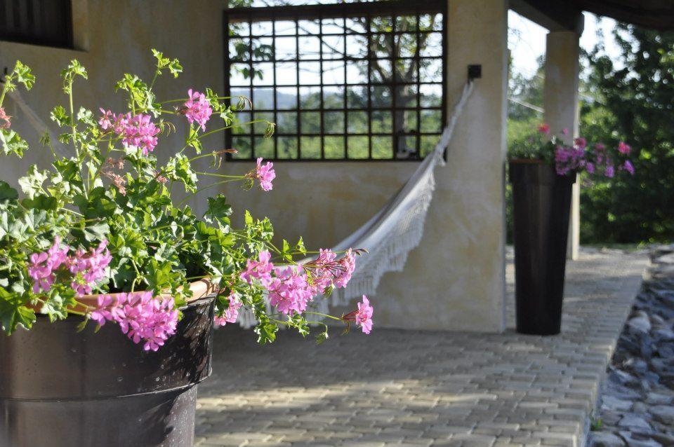 Premiata Osteria Dei Fiori Bed & Breakfast Cortiglione Стая снимка